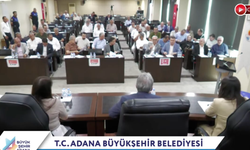 Karaisalı'da Ulaşım Krizi, Sivrisinek Sorunu ve Yol Tepkisi Meclis Gündeminde