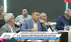 Karaisalı'da Sivrisinek ve Kara Sinek Alarmı! Bekir Şimşek Acil Çözüm İstedi