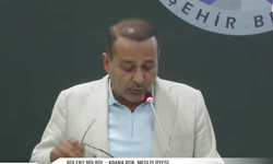 Bülent Bülbül: "Sinek Sorununun Bedelini Adanalılar Ödüyor"