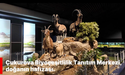 Vali Yavuz'dan Davet: Çukurova'nın Eşsiz Biyoçeşitliliğini Keşfedin