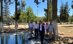 Adana'da 12 Milyon Sazan Yavrusu Doğayla Buluşuyor!