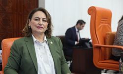 CHP'li Şevkin Öğretmenlerin Sorunlarını TBMM Gündemine Taşıdı