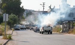 Evlerinde Oturamıyorlar: Ziyapaşa’da Haşere İstilası