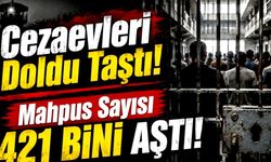 HEGEM: "2026 Şiddet ve Suç Yılı Olacak" Öngörüsü Gerçekleşiyor
