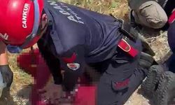 Yüreğir'deki Feci Kazada Yürek Yakan Gerçek Ortaya Çıktı