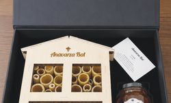Anavarza Bal’dan Arılar İçin Yeni Seferberlik