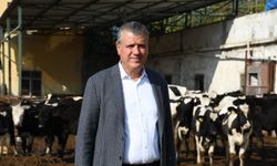 Barut'tan Süt Fiyatı Tepkisi: Üretici de Tüketici de Kaybediyor