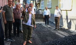 Seyhan'da Asfalt Seferberliği Hız Kesmiyor: Başkan Vekili Akkan Sahada