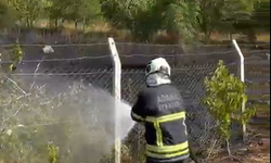 Pozantı'da Bahçe Yangını Büyümeden Söndürüldü