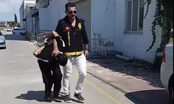 Adana'da Kan Donduran Katliam: 3 Kişiyi Öldüren Zanlıdan "Pişmanım" Savunması