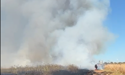 Sarıçam'da Otluk Alanda Korkutan Yangın