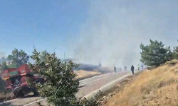 Buğday Tarlasında Başladı, Ormana Sıçradı