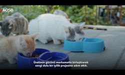 Adana OSB'den Örnek Proje! Fabrikalardan Çıkan Yemekler Can Dostlara Umut Olacak