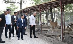 Sarıçam'da Sokak Hayvanlarına Doğal Yaşam Alanı