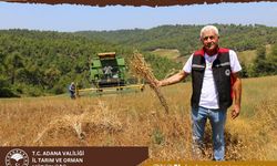 Adana'da Yerli Nohutta Rekor Verim! Dekardan 360 Kilogram Hasat