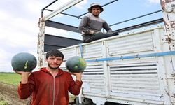 Adana'da Karpuz Hasadı Bitiyor! Tarladaki Fiyatlar Şaşırttı