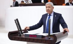 Kuru Soğan Krizinde İthalat Tepkisi: "Çözüm Dışarıda Değil, Tarlada"