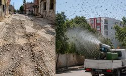Adana'da Mahallelinin Çilesi Bitmiyor! Bozuk Yol ve Sinek Sorunu Tepki Çekti