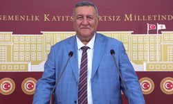 Gürer: "İşsizlik Fonu İşsizlerin Değil, İşverenlerin Fonu Oldu"
