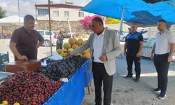 Yumurtalık'ta Hem Pazar Ziyareti Hem Yol İncelemesi