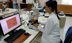 Adana’da Türkiye’nin İlk Ticari Sığır Embriyo Merkezi: Yüksek Verimlilik Hedefleniyor
