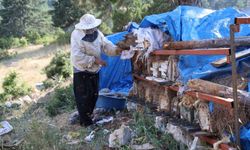 Emeklilikte Hayalini Gerçekleştirdi, Torosların Zirvesinde Arılarıyla Yaşıyor