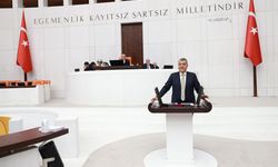 Çukurova Çiftçisine Sulama Darbesi: Ayhan Barut'tan Acil Erteleme Çağrısı