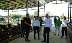Kozan’da Hayvancılığa ‘Kırsalda Bereket’ Desteği