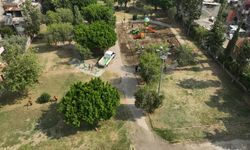 Seyhan’da park ve bahçelerde seferberlik: 24 mahallede budama, 17 parkta yenileme