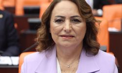 CHP'li Şevkin'den TBMM'de Adana İçin "Bireysel Silahlanma" Uyarısı