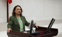 CHP'li Şevkin'den Meclis'te Çukurova Havalimanı Çıkışı "100 Emekçi Neden İşten Çıkarıldı?"