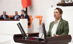 CHP'li Şevkin'den Emekli Akademisyen Düzenlemesine 'Liyakat ve Eşitlik' Tepkisi