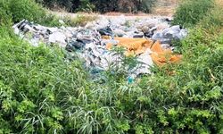 Adana’da Plastik Atık Alarmı