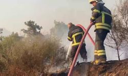 Adıyaman İtfaiyesi Adana’daki Yangına Destek İçin Sahada