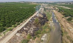 Adana’da Deliçay Deresi Çöplüğe Döndü! Narenciye Bahçeleri Tehlikede