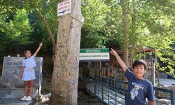 Adana’da Mesire Alanında Tepki Çeken Görüntü! Tabela Bile Yetmedi