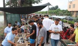 Adana’da Kuş Meraklılarının Buluşma Noktası: Pazar Şafakla Birlikte Kuruluyor