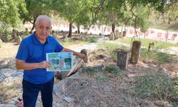Adana’da Tarihi Mezarlıkta Skandal: Üçok İşaretli Mezar Taşı Kayboldu