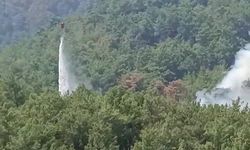 Kozan’da Kontrol Altına Alınan Orman Yangını Yeniden Alevlendi