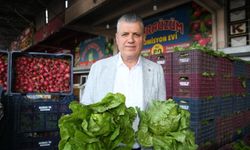 Ayhan Barut’tan İktidarın Tarım Politikalarına Sert Eleştiri: "Sorunun Kaynağı Yalnızca Aracılar Değil"