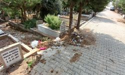 Adana Buruk Mezarlığı’nda Çöp İsyanı: Vatandaşlar Acil Çözüm Bekliyor