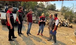 Aladağ’da Yangının Ardından Tarım Arazilerinde Hasar Tespit Çalışması