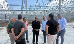 Karataş Sera Organize Tarım Bölgesi’nde Çalışmalar Sürüyor