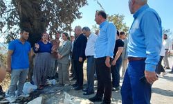 İlçe İlçe Vatandaşın Nabzını Tuttu: İYİ Parti’li Ayyüce Türkeş Taş’tan Adana Kırsalına Çıkarma