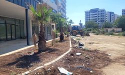Yüreğir’de Kentsel Dönüşüm Mağduriyeti İddiası! Evler Teslim, İş Yerleri Ortada Yok