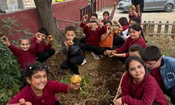 Okul Bahçesinde Yetiştirdiler, Geleneksel Lezzete Dönüştürdüler