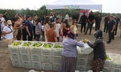 Sunar Yatırım’ın Çiftliğinde Festival Ziyaretçilerine Hasat Deneyimi