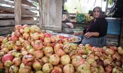 Adana’da 80 Yaşındaki Yeter Nine Geleneksel Nar Ekşisi Üretiyor