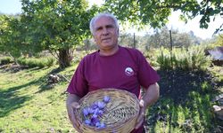 Adana'da Saksıda Başladı, 20 Yılda Dev Servete Dönüştü! Gramı Tam 900 TL
