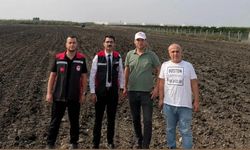 Adana’da Meralar Yeniden Üretime Kazandırılıyor